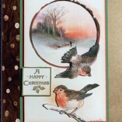 A Happy Robin's Christmas